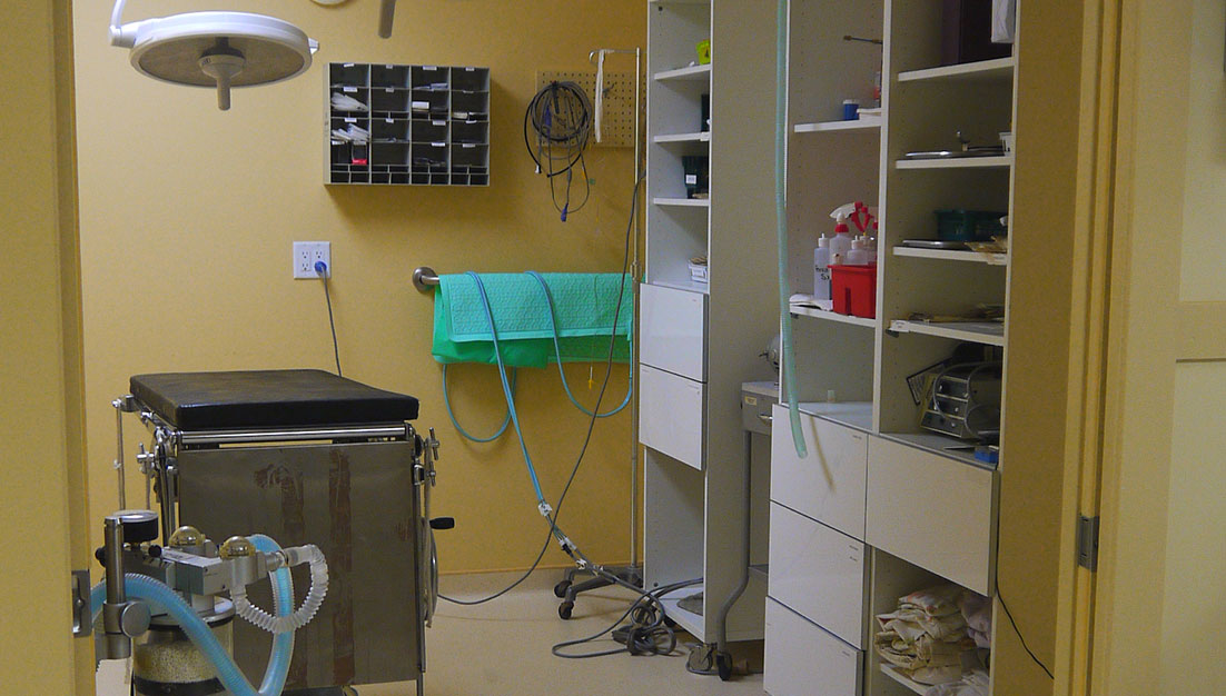 Our Surgical Suite