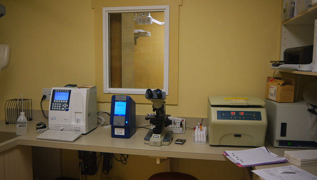 Our Laboratory